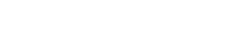 FSI BLOG Guru Logo